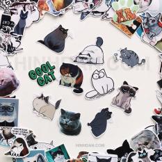 Bộ Sticker Chủ Đề Mèo, Cat, Boss, Meow (2019) Hình Dán Decal Chất Lượng Cao Chống Nước Trang Trí Va Li Du Lịch, Xe Đạp, Xe Máy, Laptop, Nón Bảo Hiểm, Máy Tính Học Sinh, Tủ Quần Áo, Nắp Lưng Điện Thoại