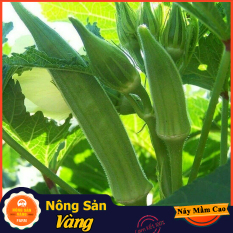 Hạt giống Đậu Bắp Cao Sản ( Gói 10 Gram ) – Nông Sản Vàng