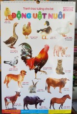 Tranh treo tường 14 chủ đề cho bé