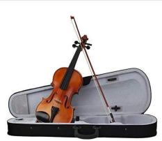 ĐÀN VIOLIN CAO CẤP DEVISER V-30 GỖ NGUYÊN TẤM 4/4 ( FULL BOX )