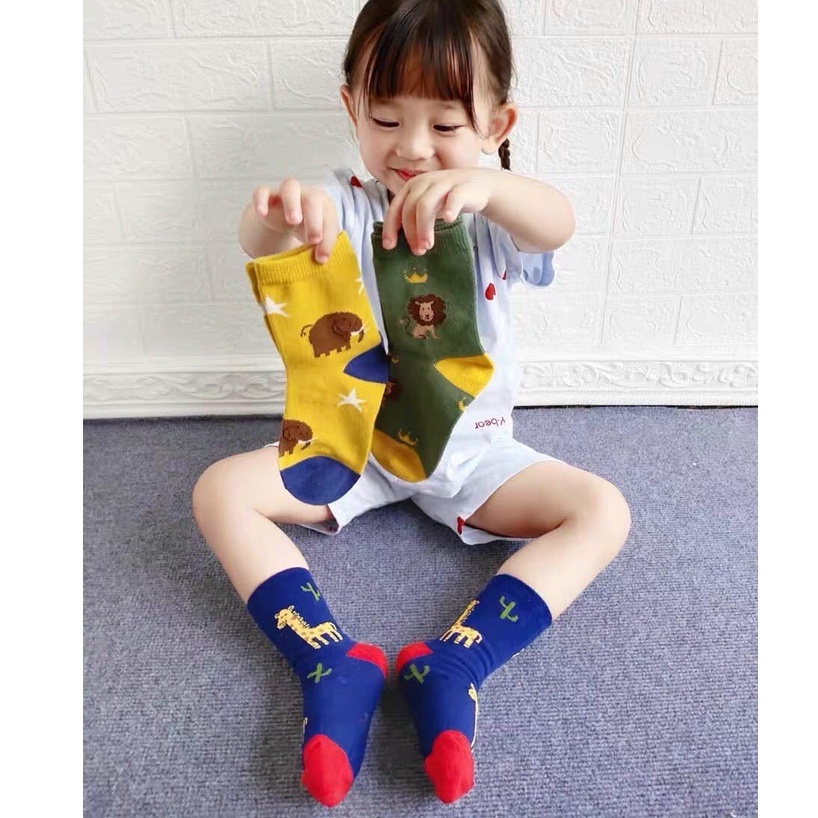 Set 5 đôi TẤT SƯ TỬ cao cổ giữ ấm chân đáng yêu cho bé 5-8 tuổi