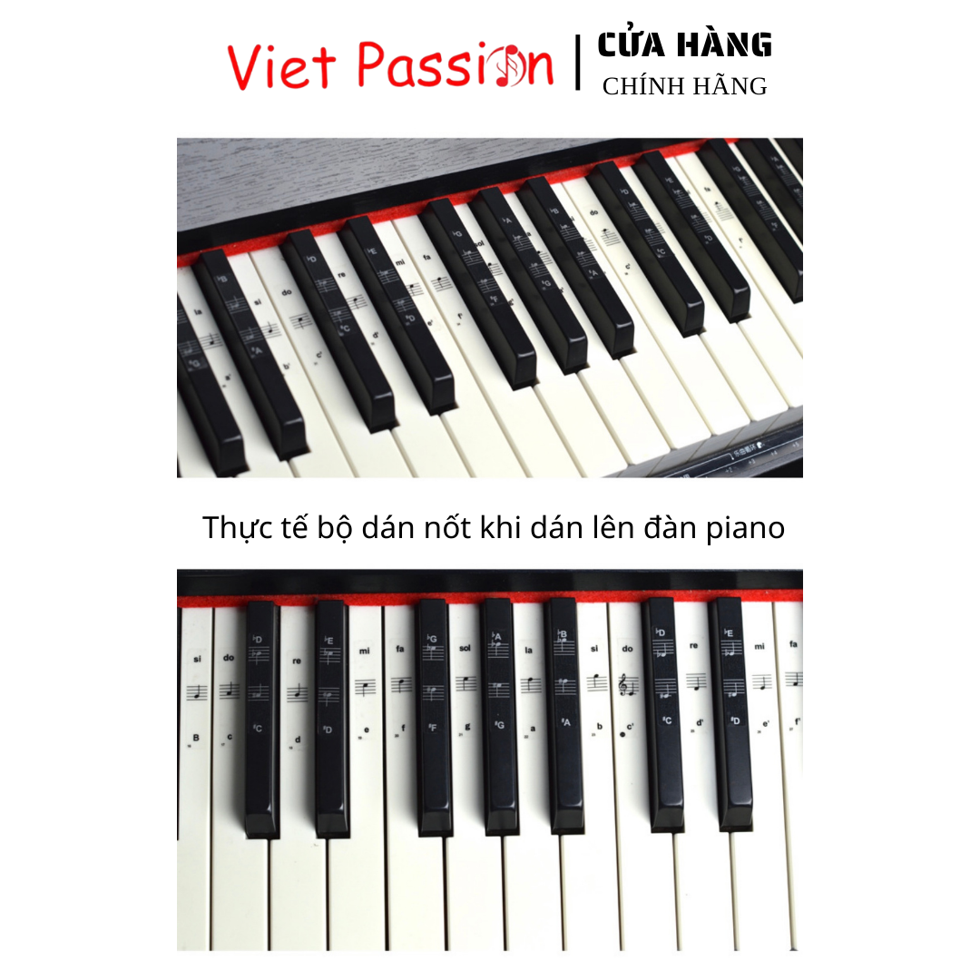 Sticker dán nốt bàn phím đàn piano organ dùng cho tất cả các phím đàn 88, 76, 61, 54, 36...