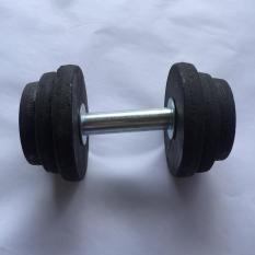 tạ tay tháo ráp, tạ lắp ráp, tạ tay 10kg, tạ gang 10kg, 1 cục tạ lắp ráp 10kg phi 19 mm