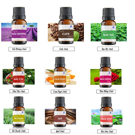 Tinh Dầu Nguyên Chất 100% - Tinh Dầu Xông Phòng - Khử Khuẩn - Xông Hơi - Đủ Mùi (...