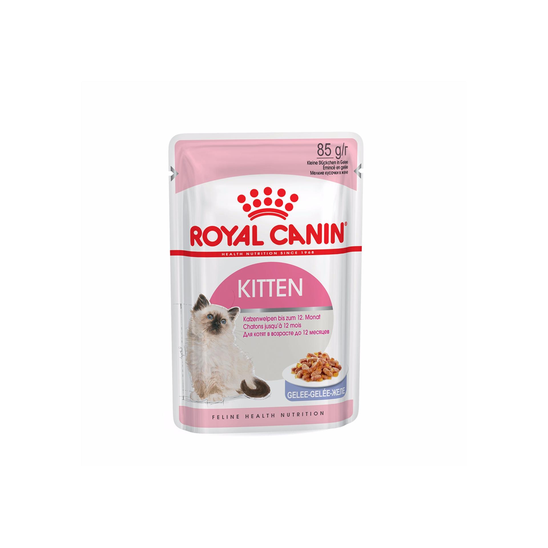 2 gói thức ăn cho mèo con Royal Canin Kitten dạng thạch 85G
