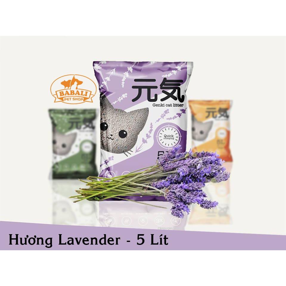 Cát Vệ Sinh Mèo BABALI Genki Hương Lavender 5 Lít - bbl_010279