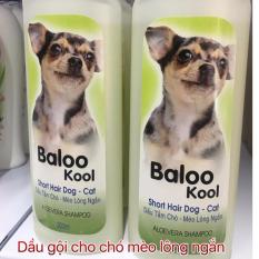 Dầu gội cho chó lông nắn