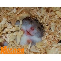 Mùn cưa nén 1kg Kugoda lót chuồng cho hamster và thú nhỏ – kgd0223