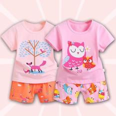 Combo 2 bộ thun cotton 2 mẫu khác nhau cho bé gái từ 8kg đến 18kg