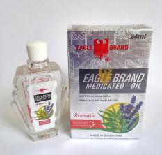 DẦU GIÓ NƯỚC TRẮNG CON Ó EAGLE BRAND SINGAPORE HAI NẮP 24 ML
