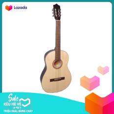 Đàn guitar Classic DG08C natural + Bao da, Tặng phụ kiện Duy Guitar – Shop đàn ghita cổ điển giá tốt dành cho bạn mới tập