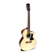 Đàn Guitar Acoustic Việt Nam Sản Xuất A25S