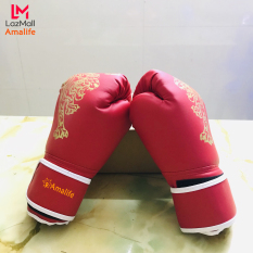 Găng Bao Tay Đấm Bốc – Găng Tay Boxing Cho Người Lớn Từ Hạng 50 – 80kg Chính Hãng Amalife