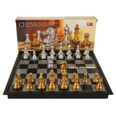 Bàn Cờ Vua Cao Cấp Chuẩn Quốc Tế Vàng Bạc 25*25*2cm