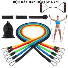 Dụng cụ tập gym, Dây đàn hồi tập gym, Dây ngũ sắc tập gym, Dụng cụ tập yoga, Đồ tập gym, Máy tập thể dục đa năng, Bộ 5 dây đàn hồi tập thể hình gọn nhẹ, có tính đàn hồi cao, bền, an toàn. Bảo hành 1 đổi 1