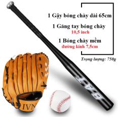 Bộ Gậy Bóng Chày Mini Nhãn Hiệu Amalife