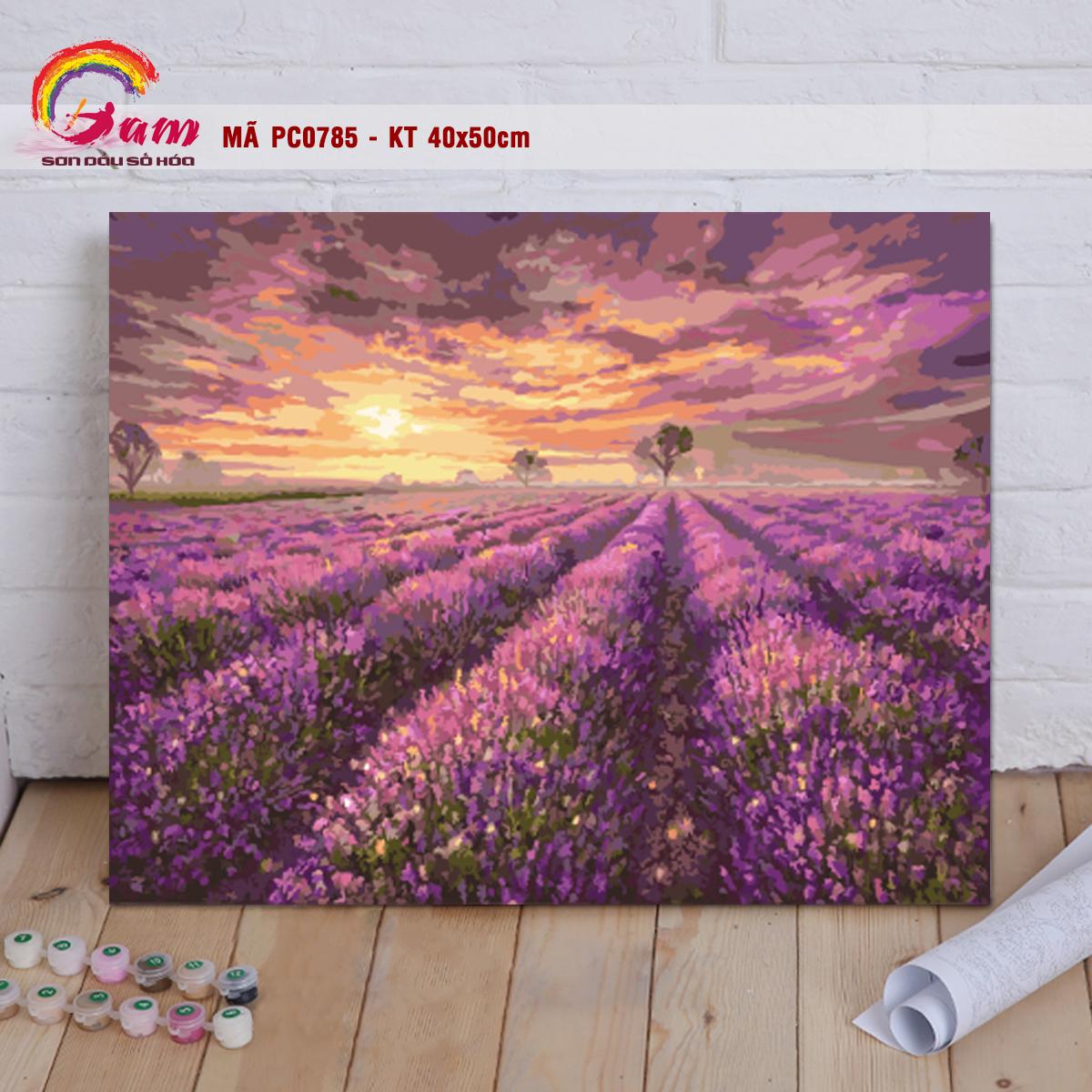 Bán Tranh sơn dầu số hóa tô màu theo số Gam Tranh phong cảnh cánh đồng hoa  oải hương lavender màu tím PC0785 | Báo Giá Rẻ ₫