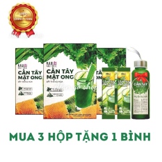 Combo 3 hộp Cần Tây Mật Ong MoTree (tặng chai thủy tinh siêu đẹp)