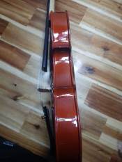 Đàn violin Lavocado En Rose Fn, được thiết kế đành cho người chơi biểu diễn chuyên nghiệp, chất âm tốt