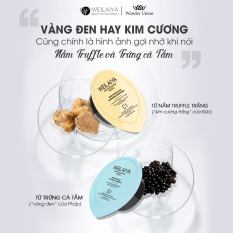 Mini size set dầu gội xả phục hồi nấm Truffle Weilaiya, phục hồi tóc khô xơ, sạch gàu, bóng mượt, lưu hương nước hoa