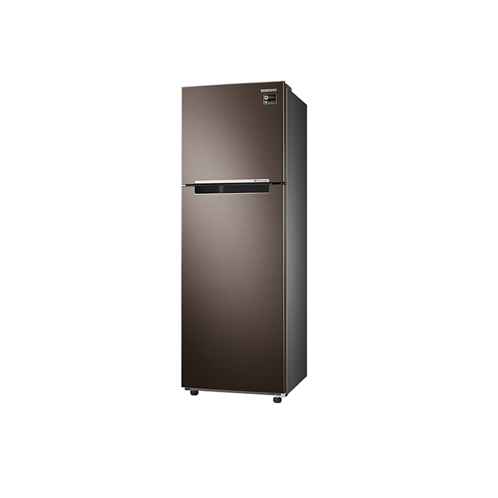 [Tặng Máy Ép Trái Cây Elmich EL-1850] Tủ lạnh hai cửa Samsung 256L với công nghệ Digital Inverter tiết kiệm...