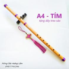 SÁO TRÚC – SÁO A4 HL59