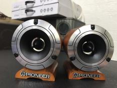 Loa tép xách tay Pioneer