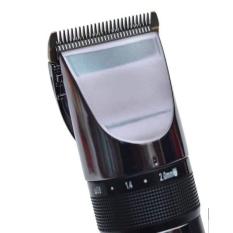 TÔNG ĐƠ CẮT TÓC CODOL 531