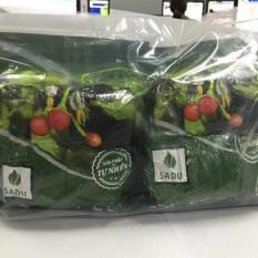 Trà túi lọc cà gai leo bịch 1kg