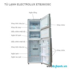 Tủ Lạnh ELECTROLUX ETB2603SC