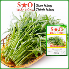 Hạt giống rau muống lá tre Việt Nam sinh trưởng khỏe phát triển mạnh mẽ tỉ lệ nảy mầm cao