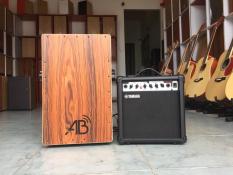 Cajon điện – Cajon có EQ/pick-up đưa âm thanh ra loa
