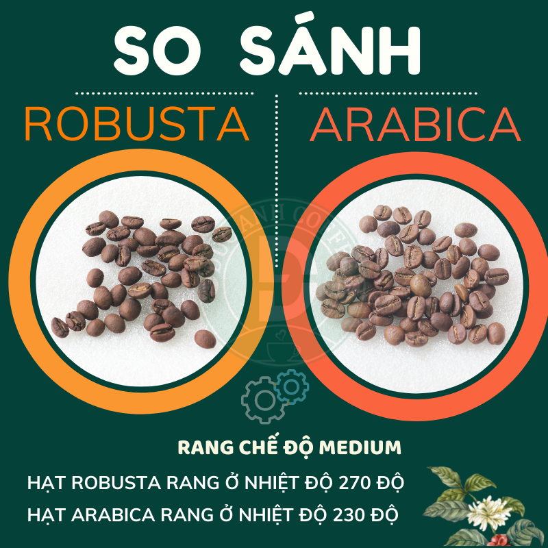 [Đặc Biệt] Gía Sỉ Cho Quán 10kg cà phê rang mộc DUC ANH COFFEE tùy chọn robusta và arabica -...