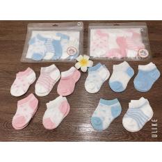 Set 5 đôi tất lưới hè thu cổ thấp cho bé 3-24 tháng