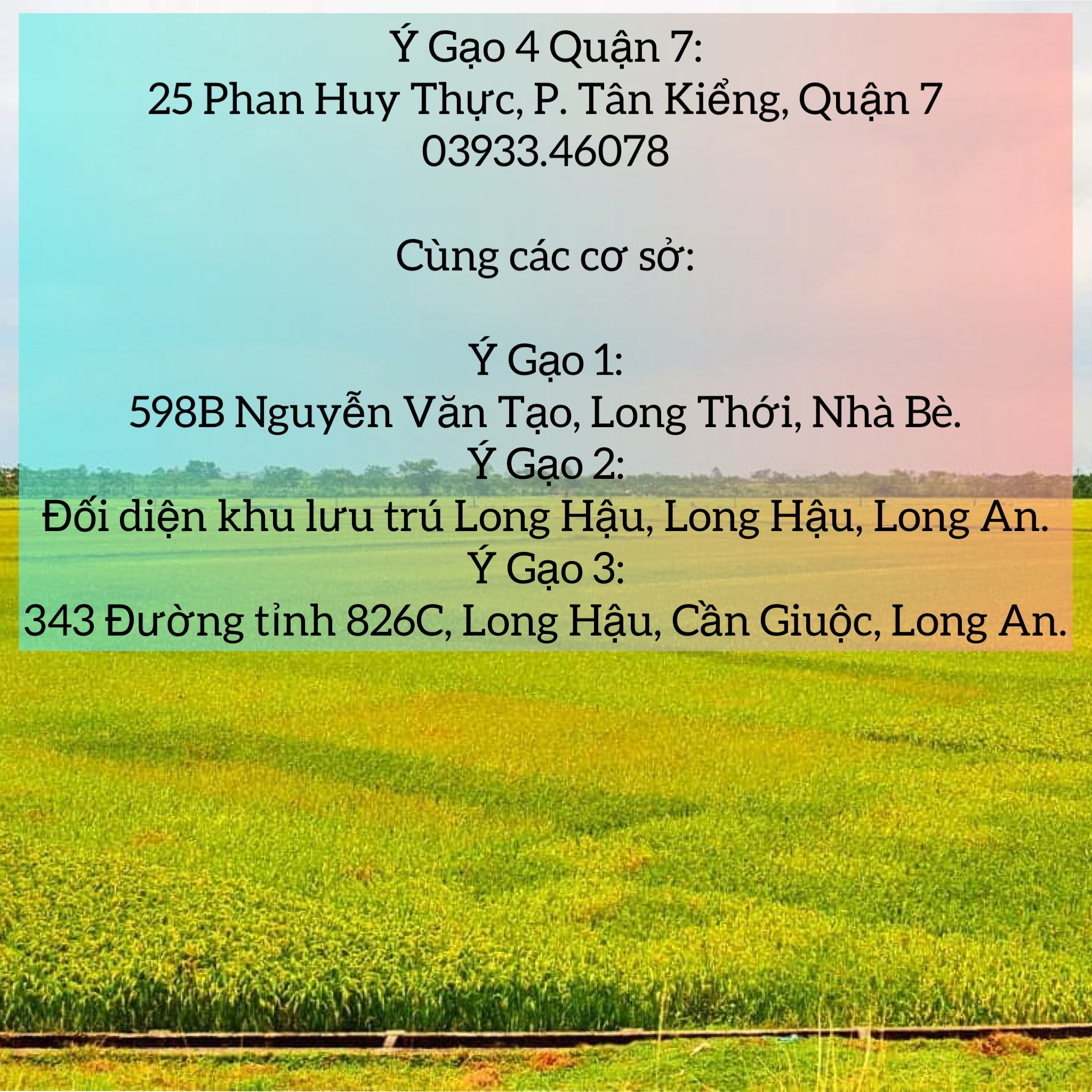 Gạo Nếp Thái 1Kg – Nhập khẩu trực tiếp từ Thái Lan – Hạt gạo dài, màu trắng đục, cơm...