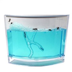 Bộ Nuôi kiến 4D Ant Works