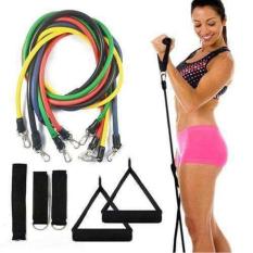 Bộ Dây Ngũ Sắc Tập Gym Đàn Hồi Cao Cấp 11 món, tập thể hình đa năng – Dây tập đàn hồi tập Gym tại nhà