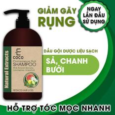 Dầu gội dược liệu giảm rụng tóc Ecoco với chiết xuất sả chanh, bưởi