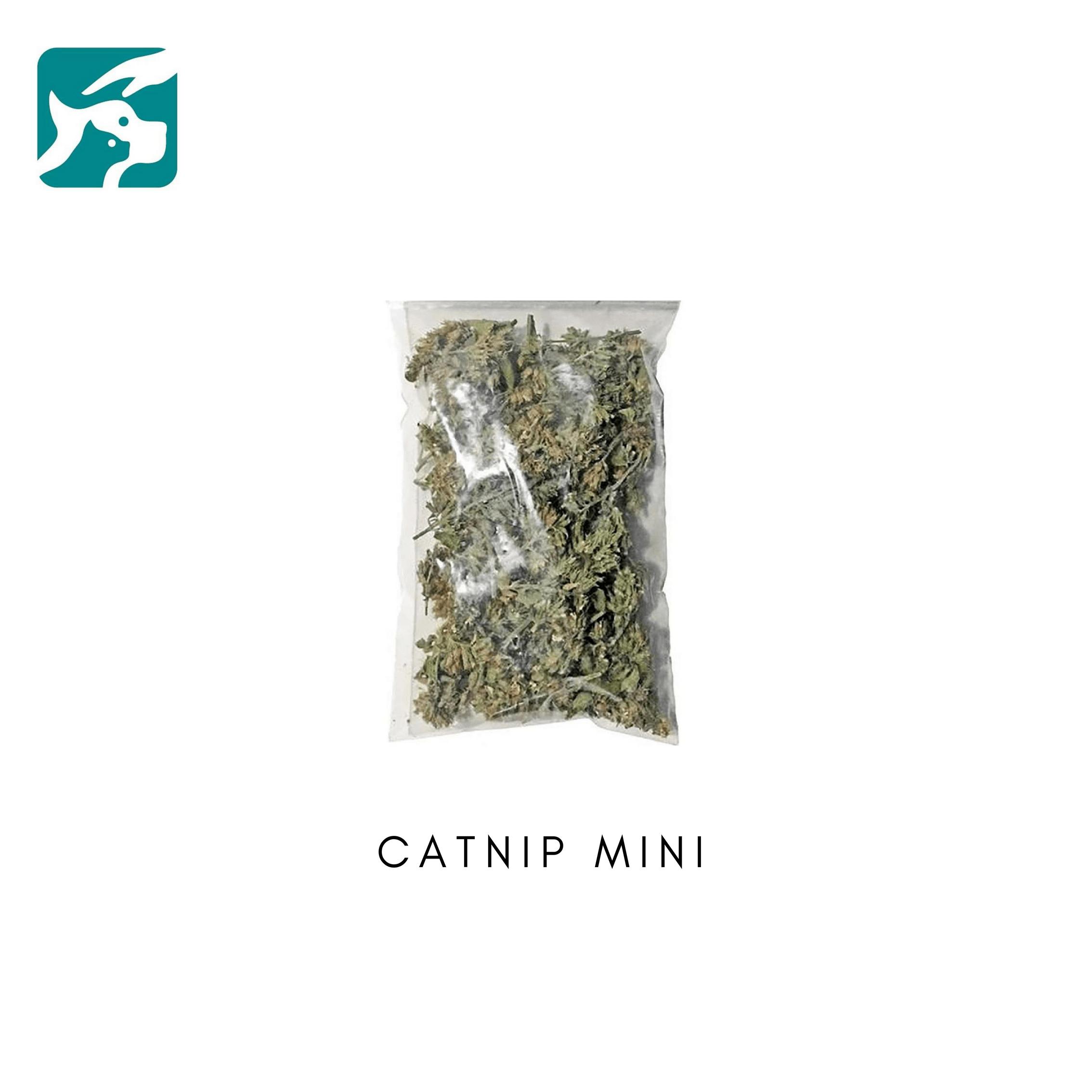 Catnip , Cỏ Bạc Hà Mini Gây Kích Thích Cho Mèo 5G