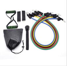 Dây đàn hồi tập Gym S1-D, bộ dây tập thể lực 5 màu – Bộ 11 chi tiết, dây tập kháng lực 100LB tiêu chuẩn