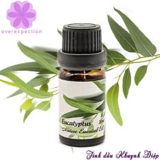Tinh dầu khuynh diệp – Eucalyptus Essential Oil