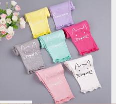 Combo 6 quần dài cotton cho bé gái
