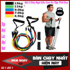 Bộ 5 Dây Ngũ Sắc Cao Su Tập Thể Dục, Dây Đàn Hồi Kháng Lực Tập Gym, Dây Cao Su Đàn Hồi Tập Thể Thao, Tập Gym Tại Nhà – Chính Hãng miDoctor
