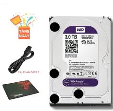 Ổ cứng HDD Western Digital Purple 3TB 64MB Tím (Bảo Hành 24 Tháng 1 Đổi 1)