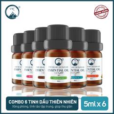 COMBO 6 Tinh dầu thiên nhiên cao cấp PK 5ML – Hương Sả Chanh – Sả Java – Bạc Hà – Quế – Cam Ngọt – Bưởi Ngọt