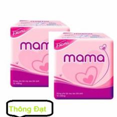 Hai gói băng Vệ Sinh Diana Mama (12 Miếng