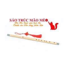 Sáo Trúc Mão Mèo Giá Rẻ mới chơi