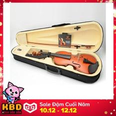 Đàn Violin ( Vĩ cầm ) cao cấp TL-1140 size 4/4 gỗ nâu đỏ (full phụ kiện)