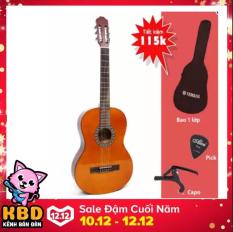 Đàn Guitar Classic RG3920 cho người mới tập chơi