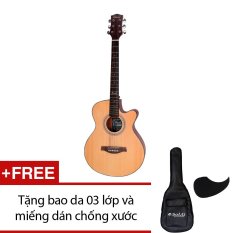 Trang bán Đàn guitar acoustic Diana D815NM + Tặng 1 bao da 03 lớp và 1 miếng dán chống xước